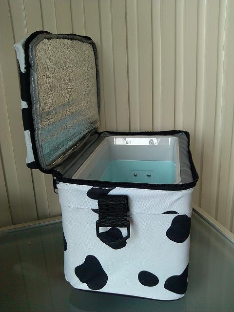 Insulated Cooler Kalsten