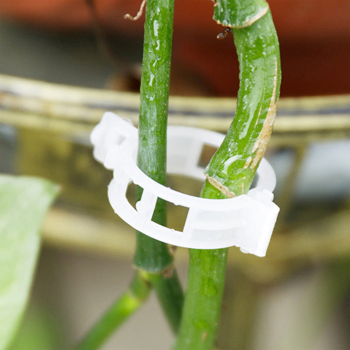 Plant support clips | Kalsten