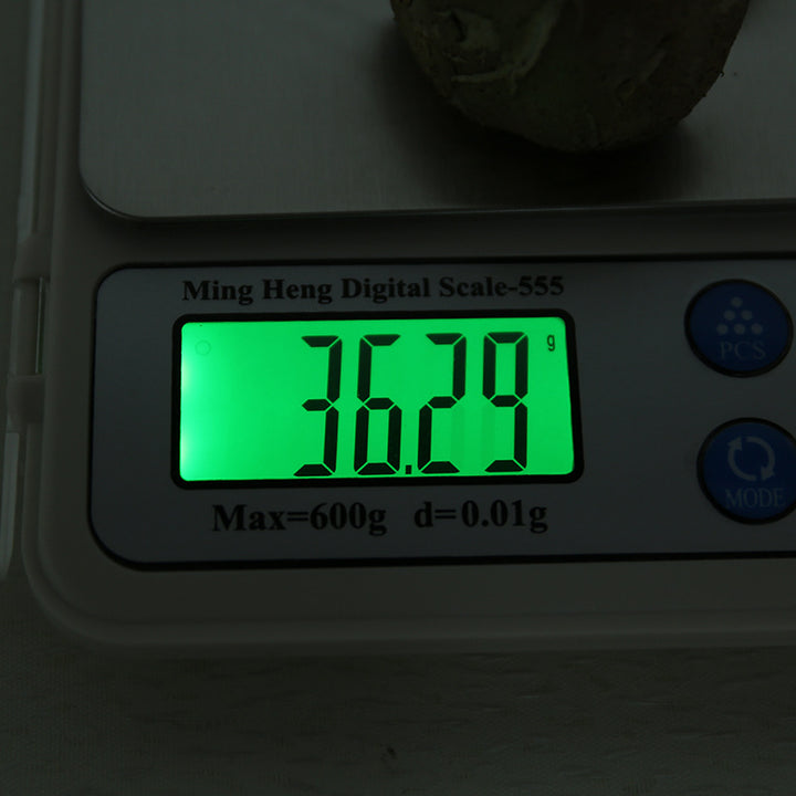 Compact Digital Kitchen Scale