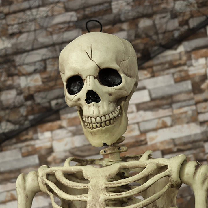 Life-Size Decorative Skeleton Figurine