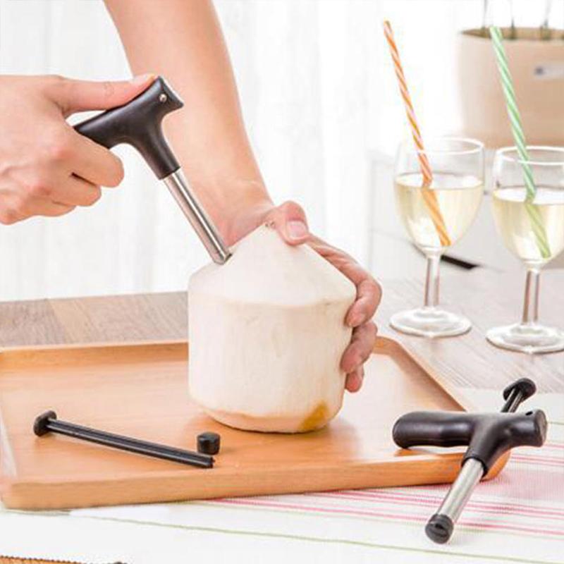 Coconut opening tool in Stainless Steel | Kalsten