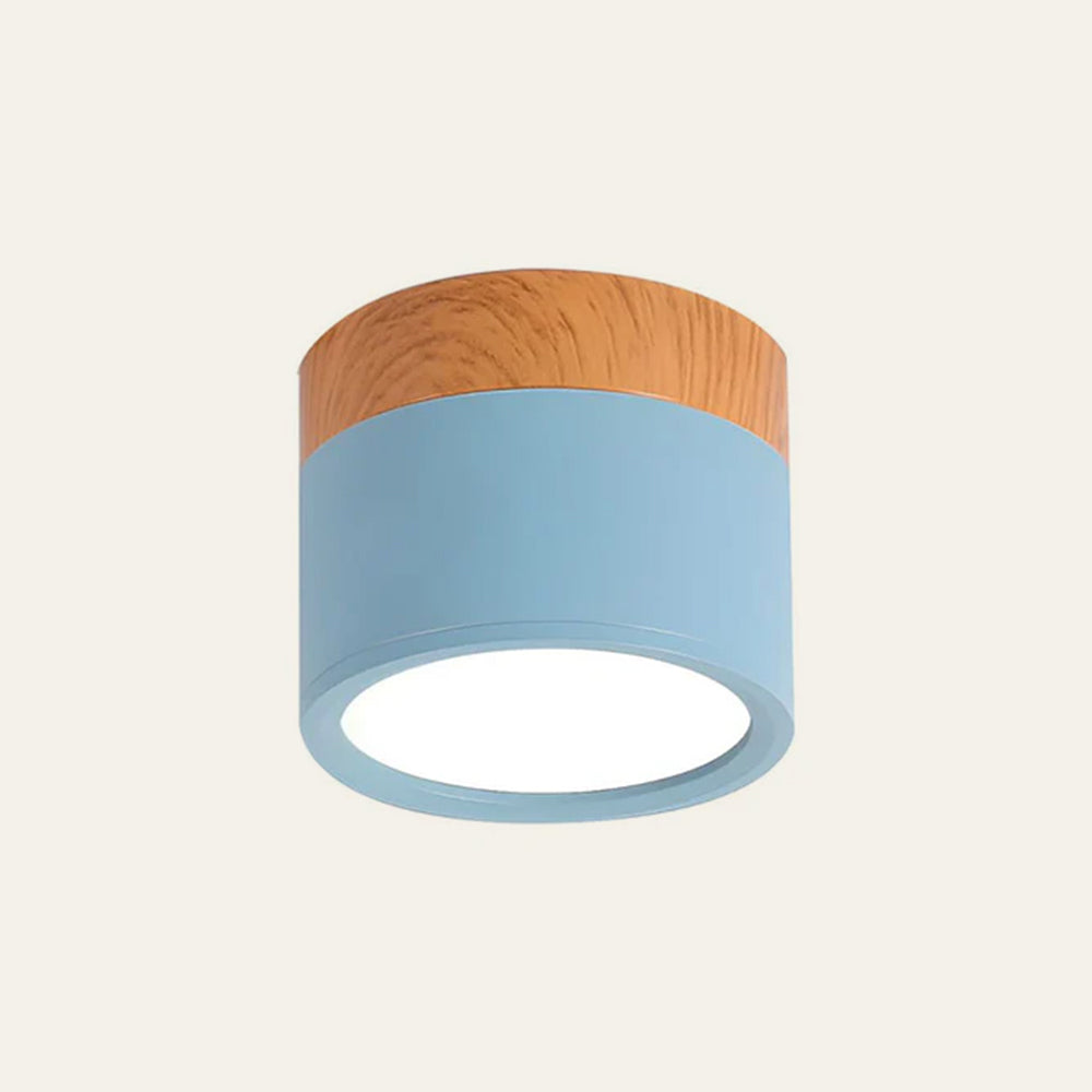 Modern Cylinder LED Flush Mount Ceiling Lamp Kalsten