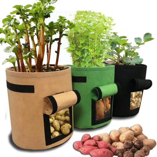 GrowMaster Pro — More power for your plants, so your harvest will amaze everyone! | Kalsten