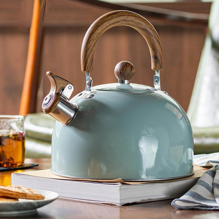 Stainless Steel Whistling Kettle Cooking Time – 2.5L or 3L with Sound Signal | Kalsten