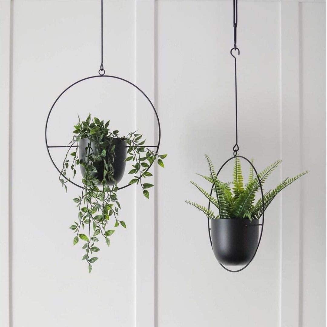 HaloRing Hanging Plant Holder – Metal Hanging Planter for Indoor and Outdoor | Kalsten