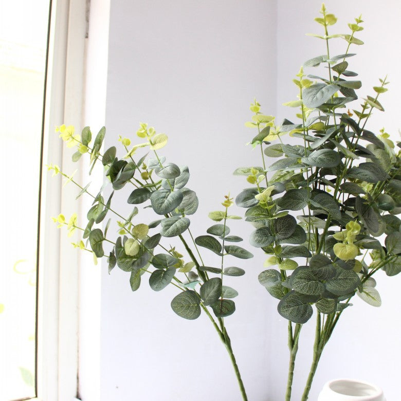 Decorative Eucalyptus Stem