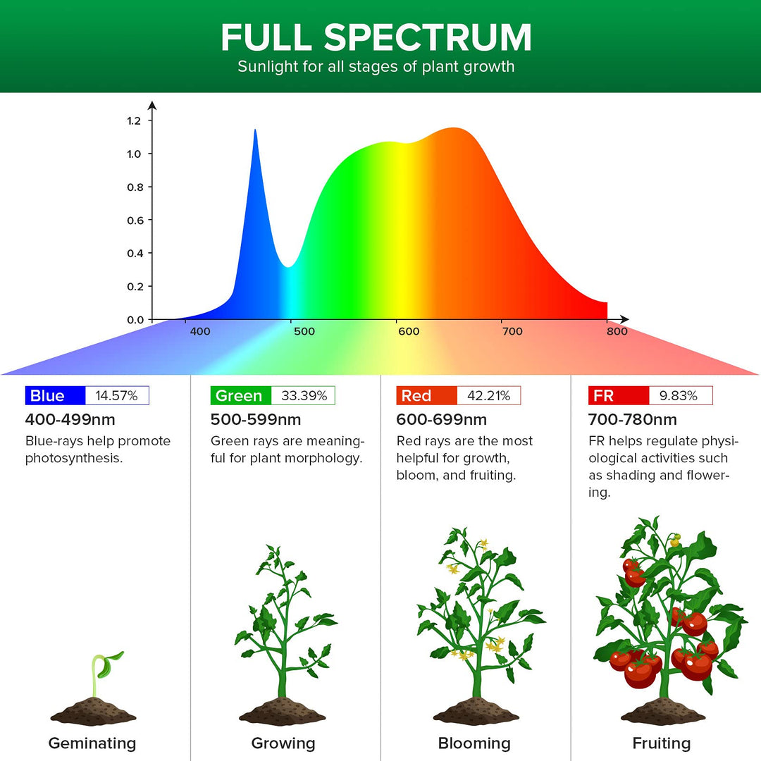 Full Spectrum LED Grow Light Bulb