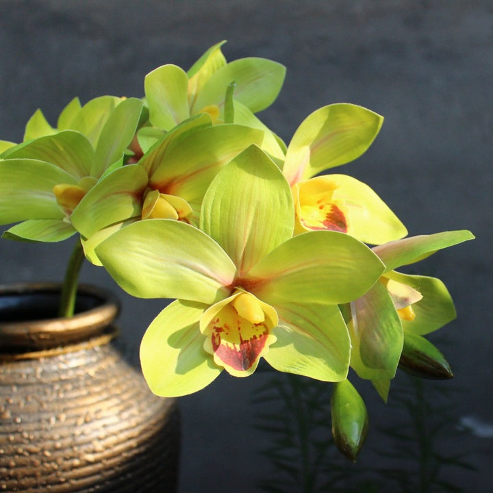 Decorative Orchid