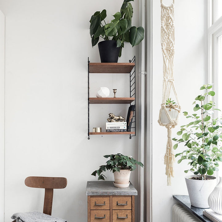 Macrame Plant Hanger Set made of cotton yarn hand-knotted with wooden ring and variable lengths