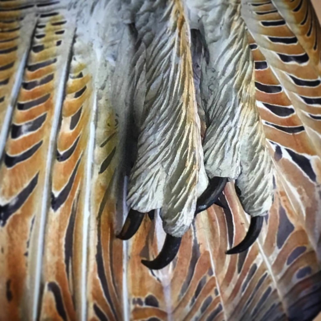 Kalsten | Great owl gaze in artistic edition
