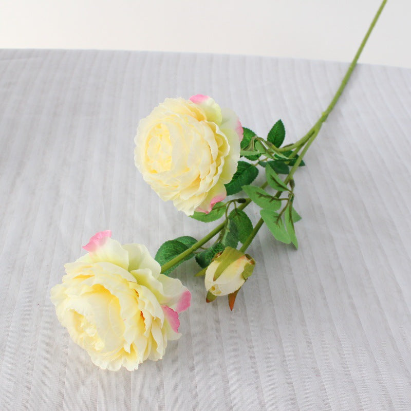 Realistic Peony Floral Stem