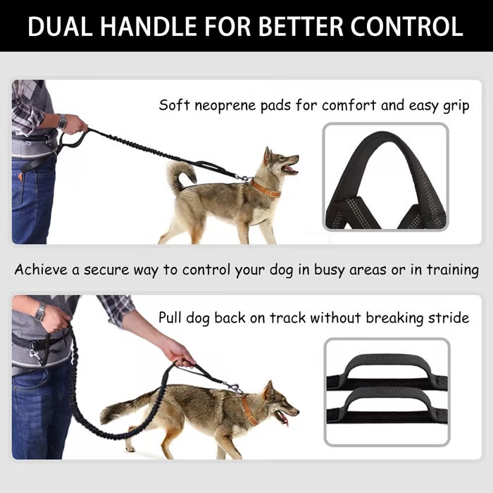 FlowLeash — Experience gentle control and relaxed walks without jerks! | Kalsten
