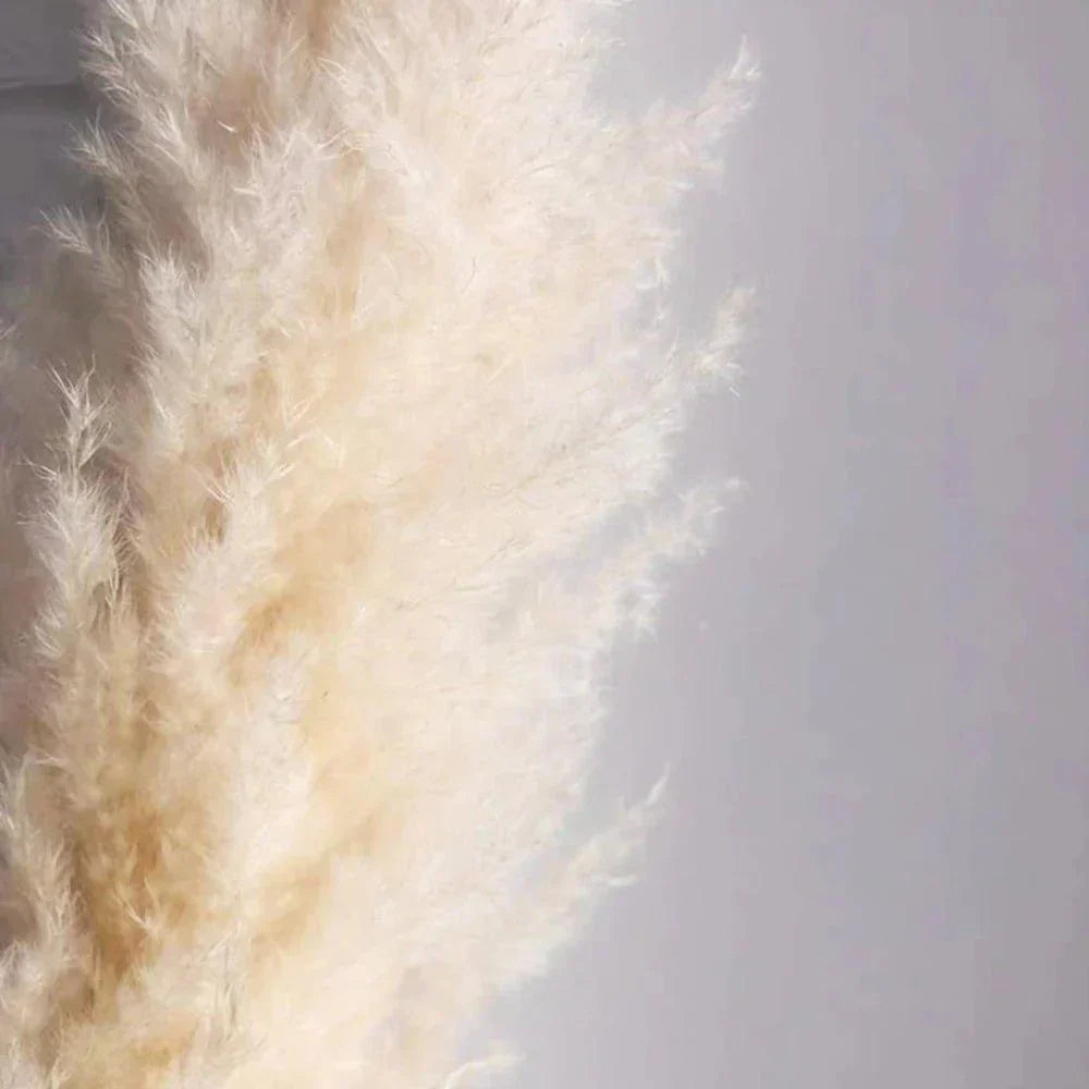 Kalsten | 80 cm natural, real dried pampas grass bouquet (white / beige / gray) │ fluffy feather for modern boho home decor