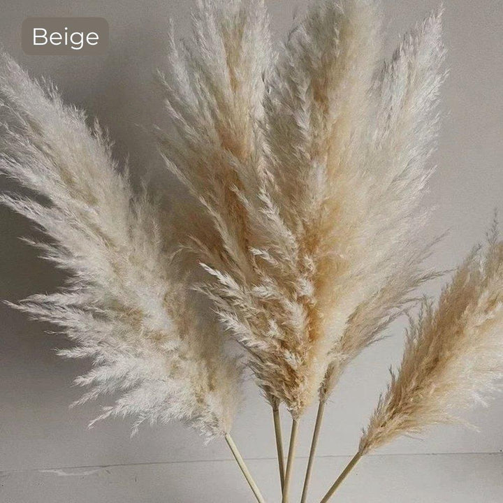 Kalsten | 80 cm natural, real dried pampas grass bouquet (white / beige / gray) │ fluffy feather for modern boho home decor