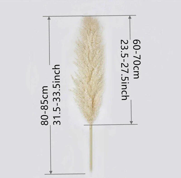 Kalsten | 80 cm natural, real dried pampas grass bouquet (white / beige / gray) │ fluffy feather for modern boho home decor