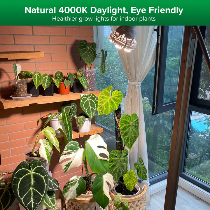 Full Spectrum LED Grow Light Bulb