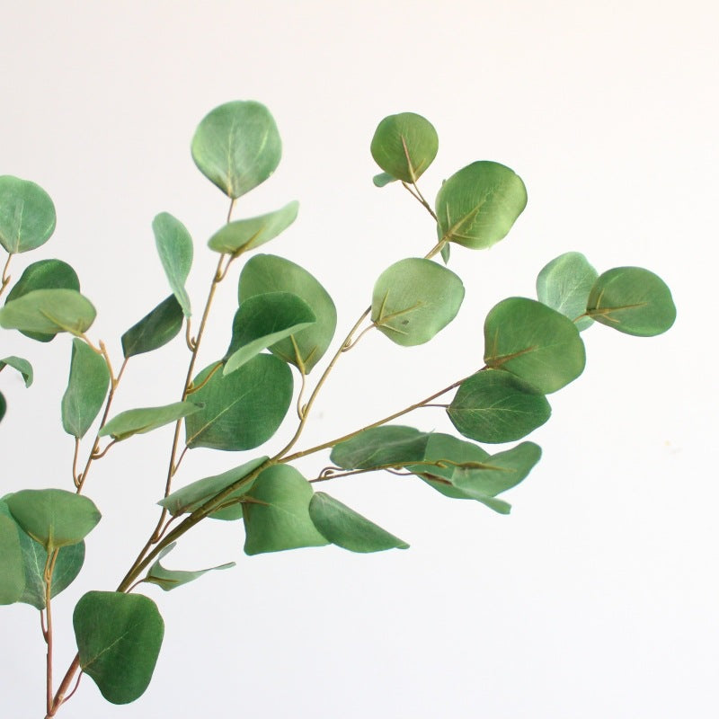 Decorative Eucalyptus Branch
