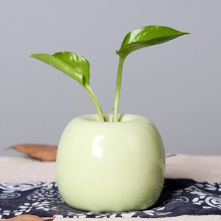 Artistic Ceramic Apple-Shaped Planter Kalsten