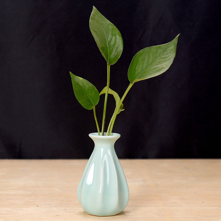 Elegant Ceramic Flower Holder Kalsten