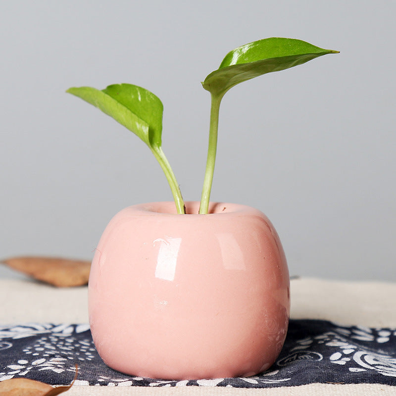 Artistic Ceramic Apple-Shaped Planter Kalsten
