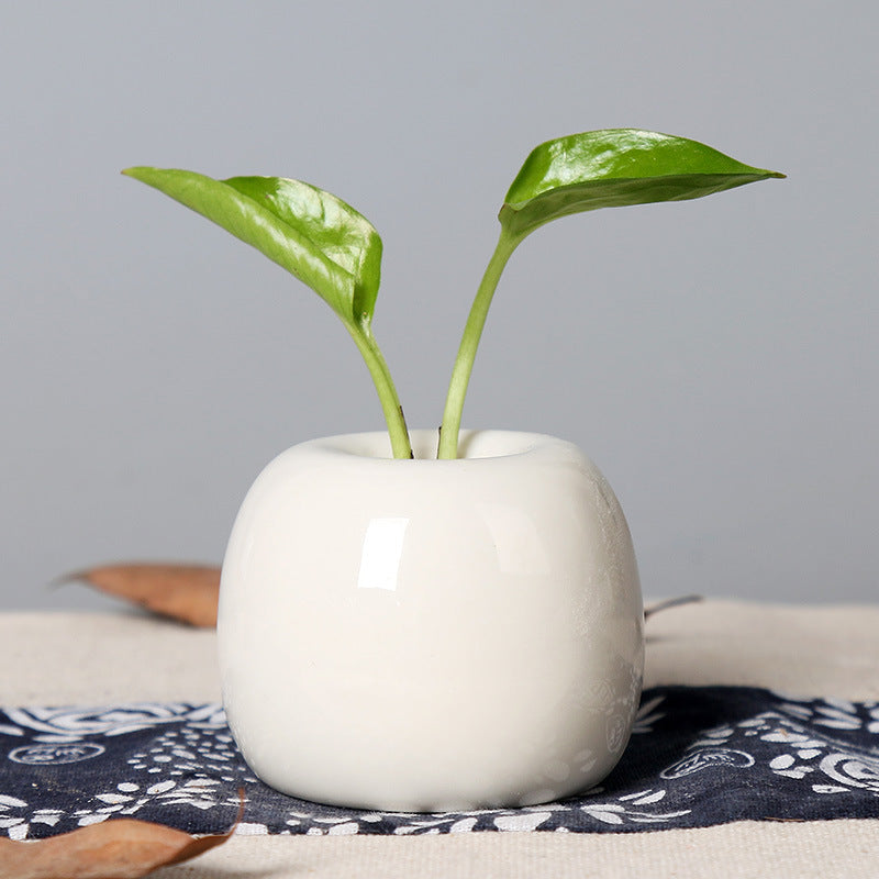 Artistic Ceramic Apple-Shaped Planter Kalsten