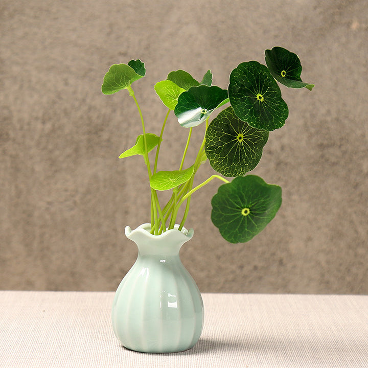 Elegant Curved Ceramic Flower Vase Kalsten