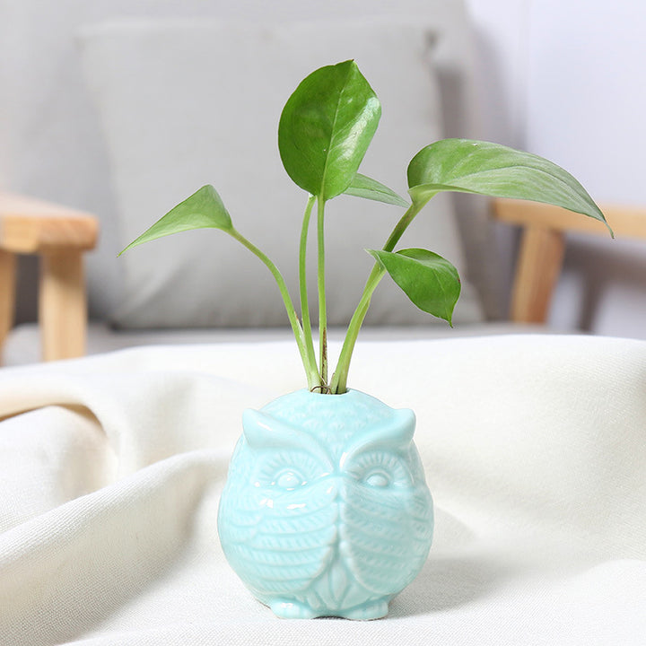Owl-Shaped Succulent Planter Kalsten