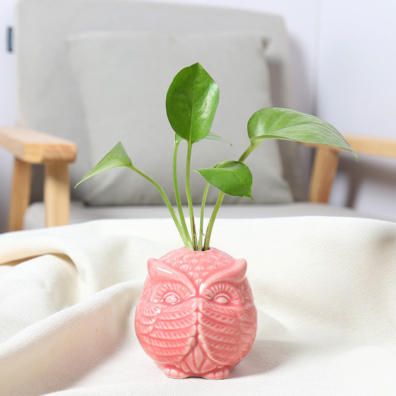 Owl-Shaped Succulent Planter Kalsten