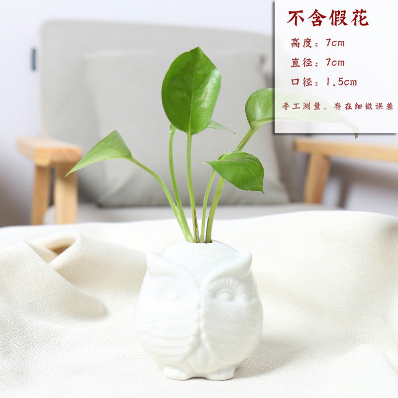 Owl-Shaped Succulent Planter Kalsten