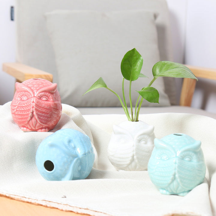 Owl-Shaped Succulent Planter Kalsten