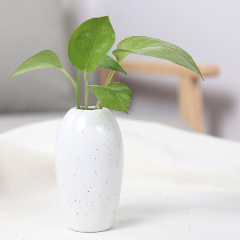 Elegant Ceramic Planter Kalsten