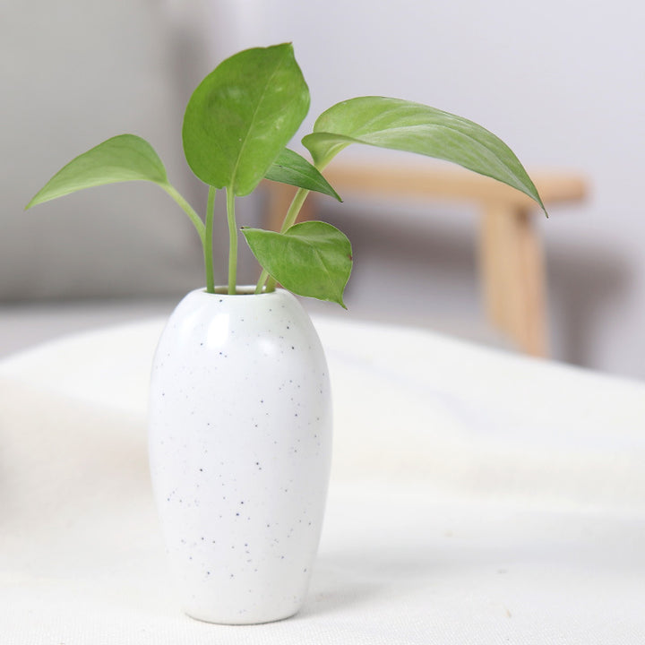 Elegant Ceramic Planter Kalsten