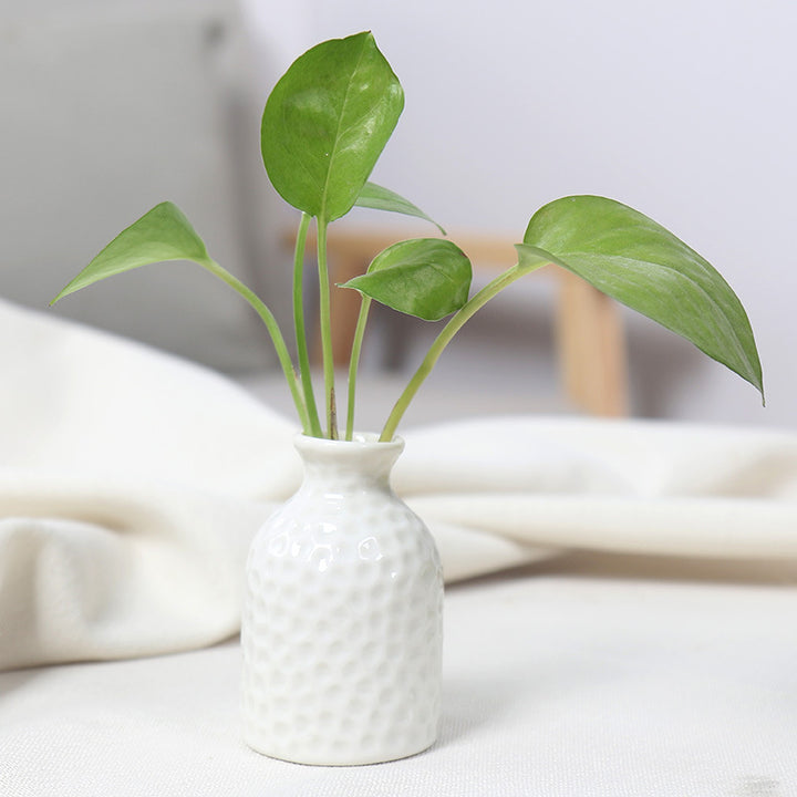 Textured Ceramic Plant Holder Kalsten