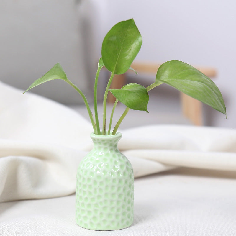 Artistic Ceramic Miniature Vases Kalsten