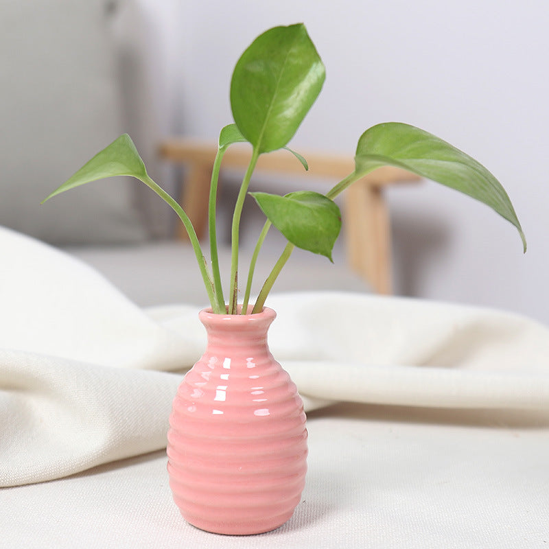 Artistic Ceramic Miniature Vases Kalsten