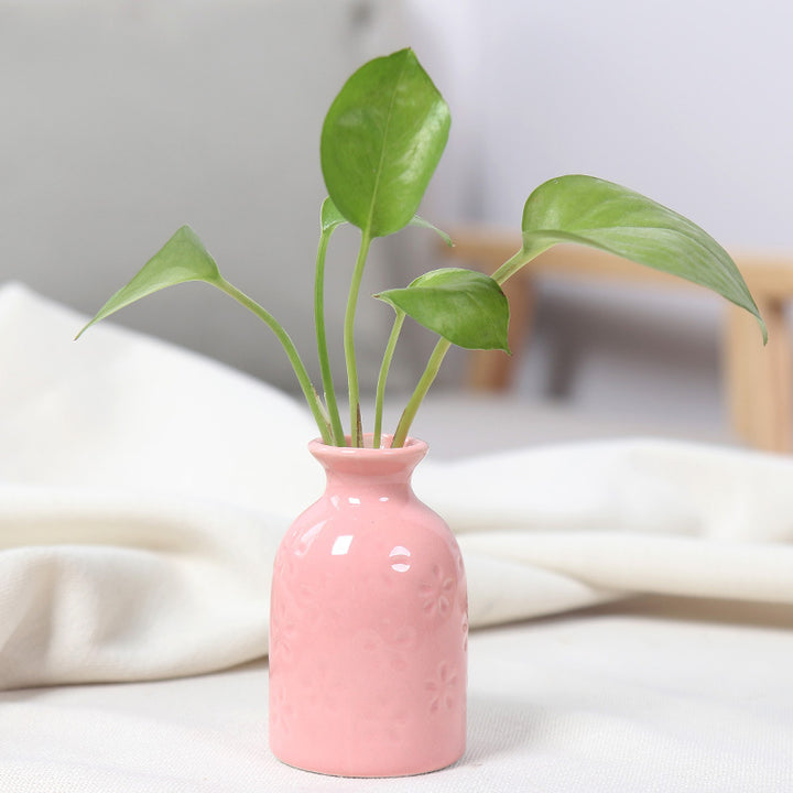 Artistic Ceramic Miniature Vases Kalsten