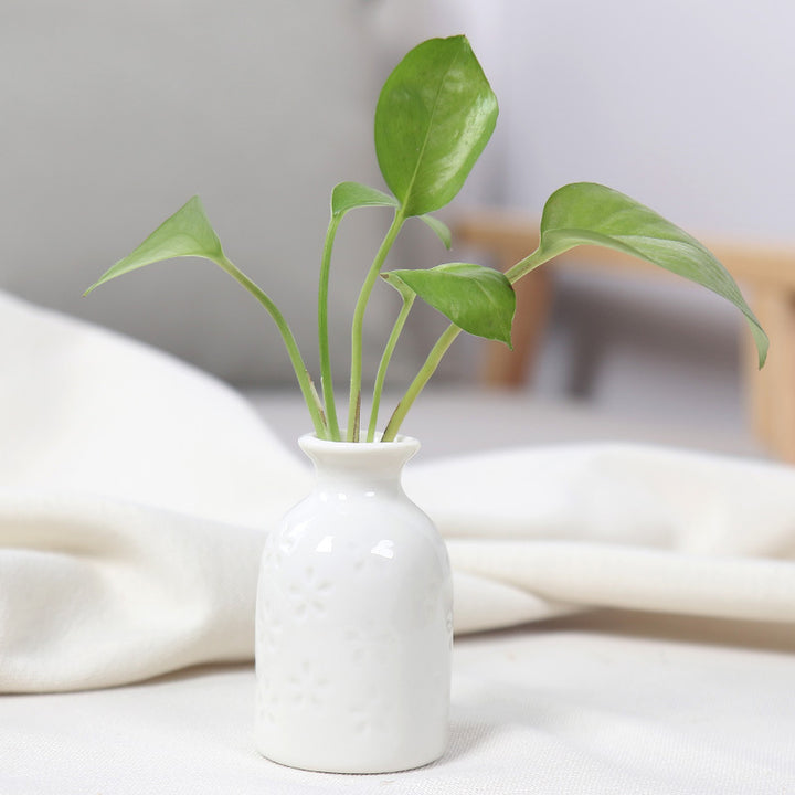 Artistic Ceramic Miniature Vases Kalsten