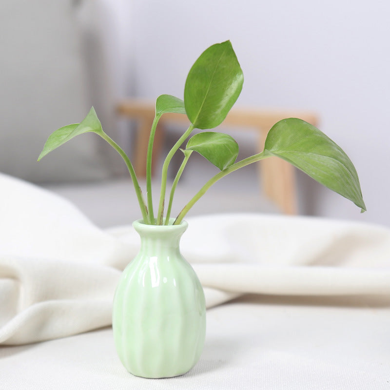Artistic Ceramic Miniature Vases Kalsten