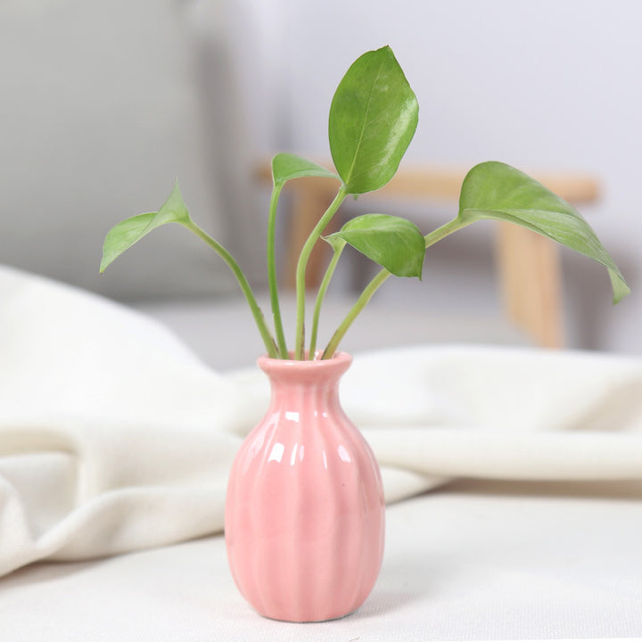 Artistic Ceramic Miniature Vases Kalsten