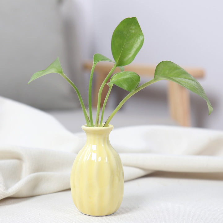 Artistic Ceramic Miniature Vases Kalsten
