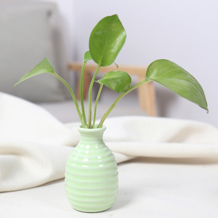 Modern Textured Ceramic Bud Vase Kalsten