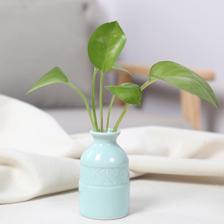 Miniature Ceramic Planter Kalsten