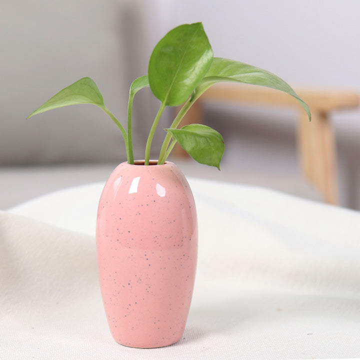 Elegant Ceramic Planter Kalsten