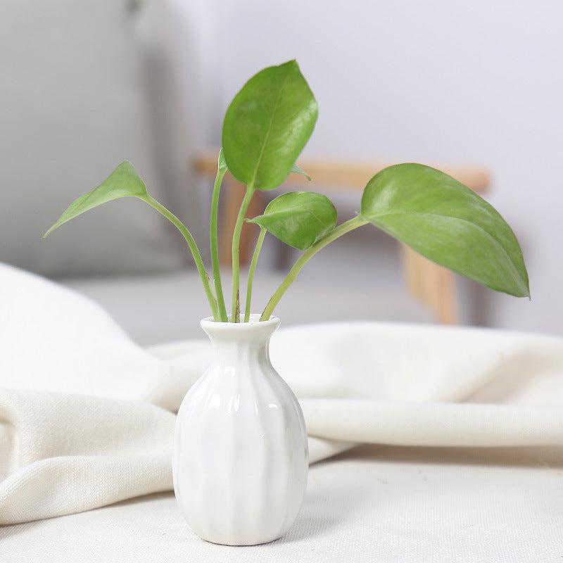 Artistic Ceramic Miniature Vases Kalsten