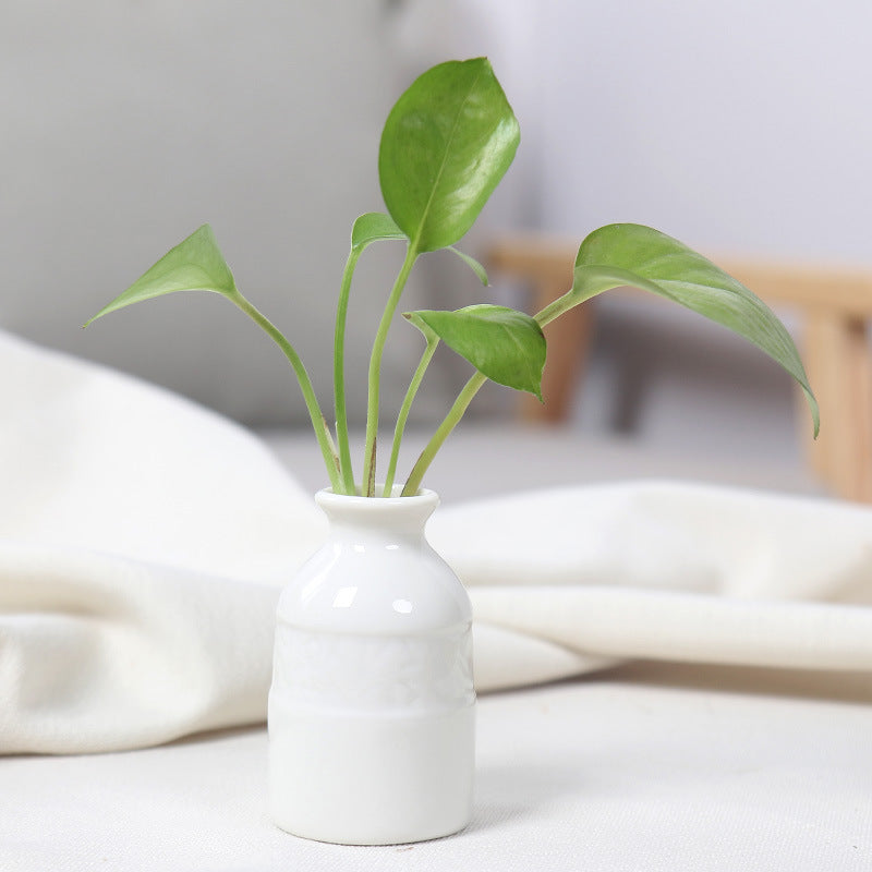 Miniature Ceramic Planter Kalsten