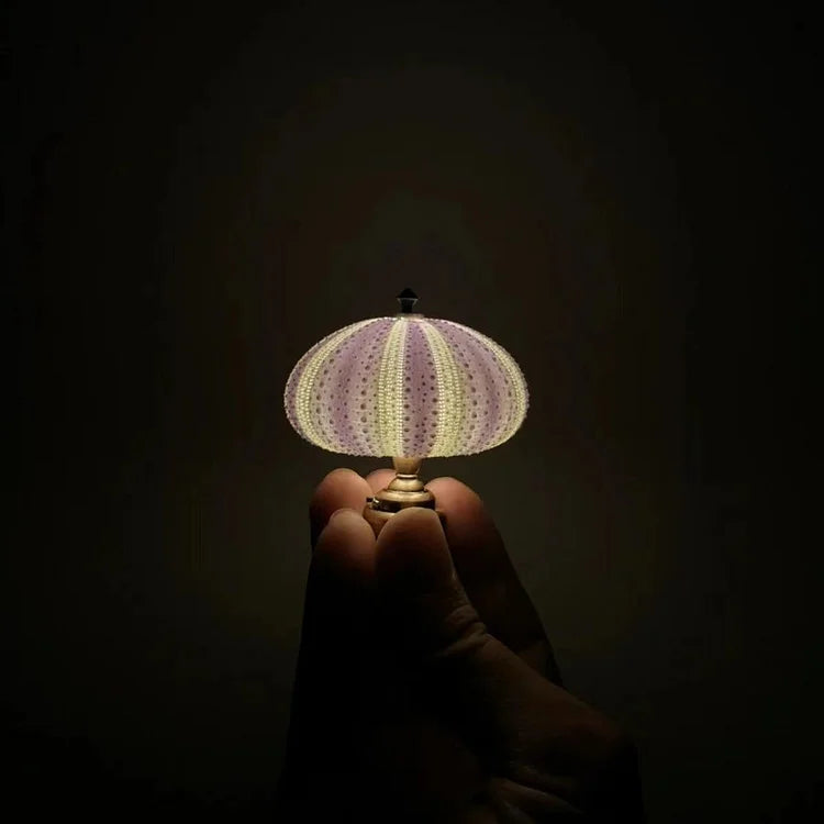 LumiCraft – Unique DIY table lamp with natural sea shell for a cozy décor | Kalsten