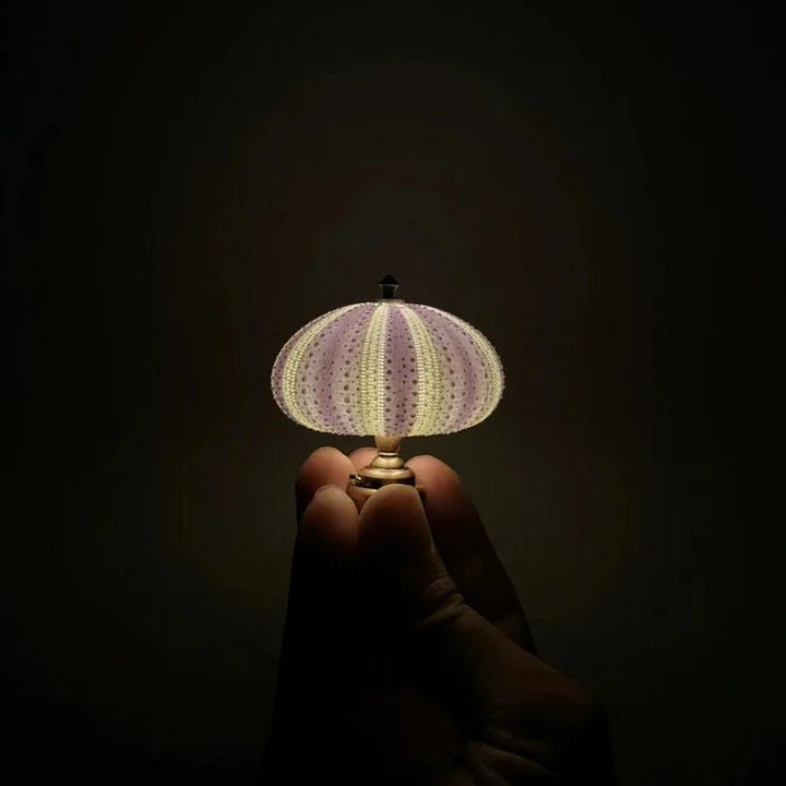 LumiCraft – Unique DIY table lamp with natural sea shell for a cozy décor | Kalsten