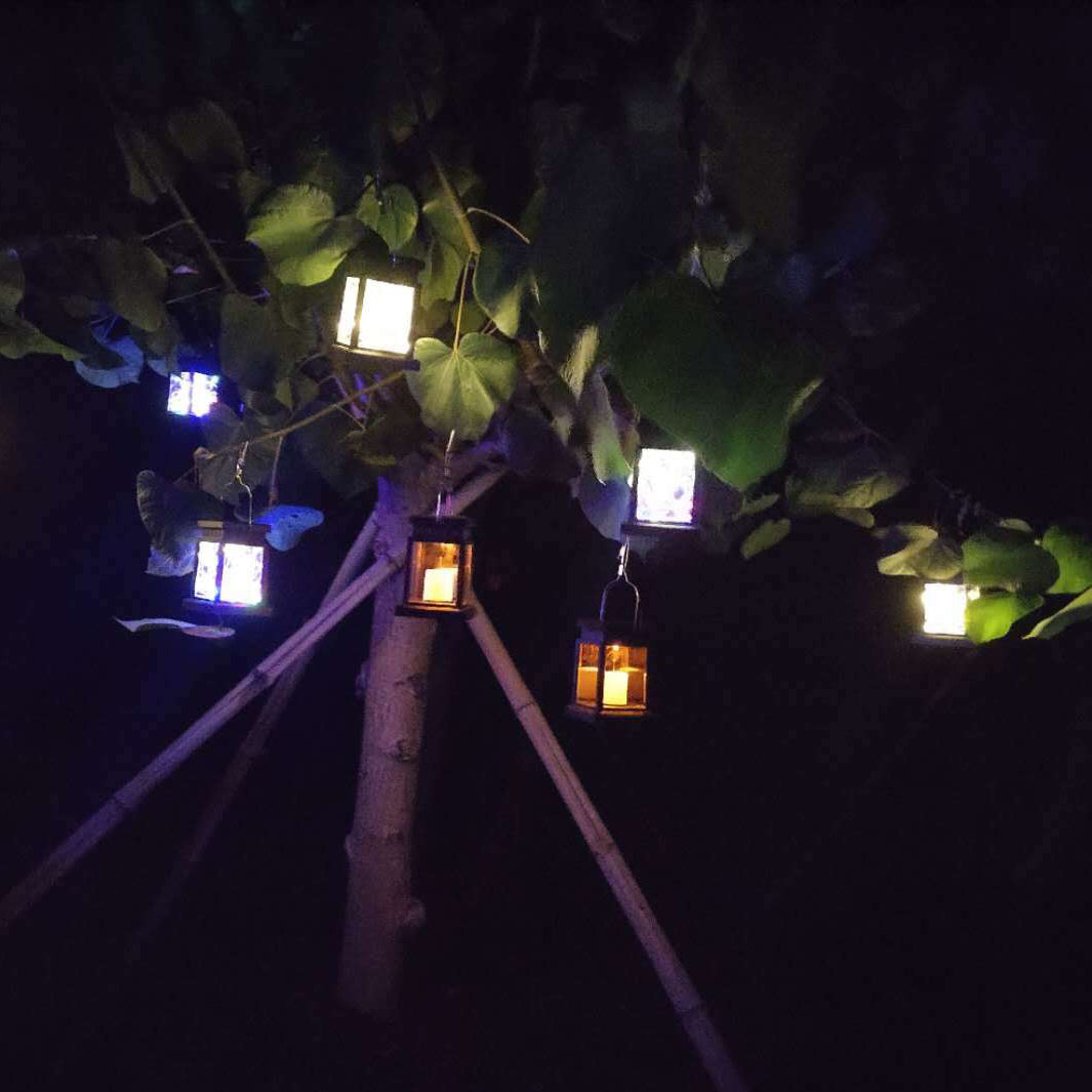 Contemporary Industrial Square Star LED Solar Waterproof Landscape Lawn Light For Garden | Kalsten