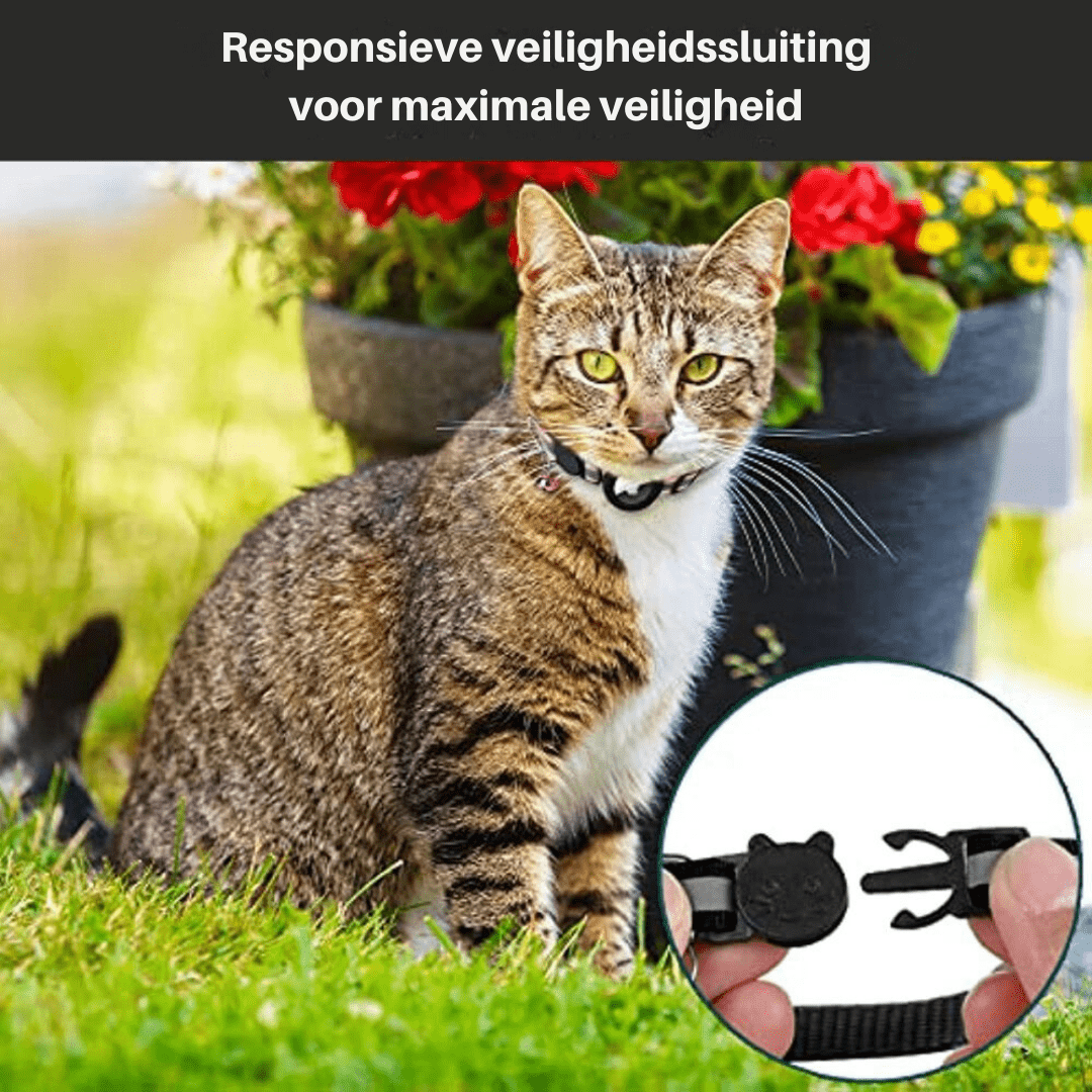 Kalsten | GPS Tracker Collar for Safety & Visibility for Cats