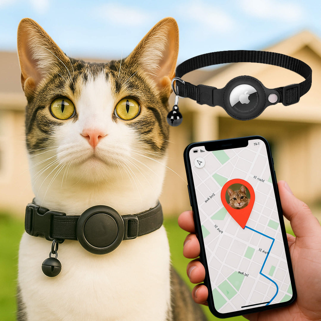 GPS Tracking Collar for Cats